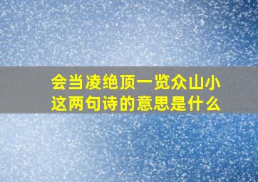 会当凌绝顶一览众山小这两句诗的意思是什么