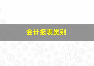 会计报表类别