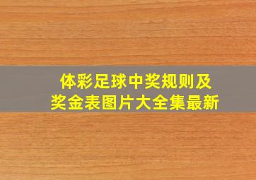 体彩足球中奖规则及奖金表图片大全集最新