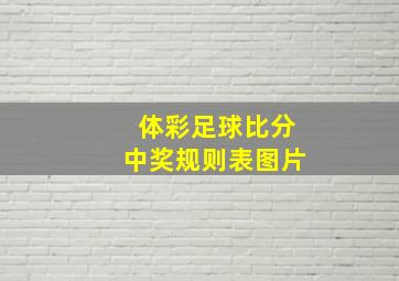 体彩足球比分中奖规则表图片