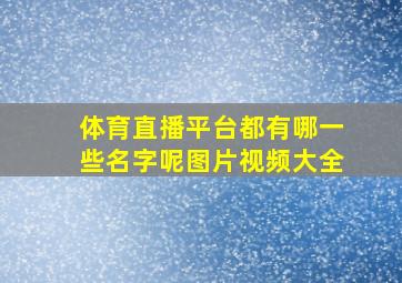 体育直播平台都有哪一些名字呢图片视频大全