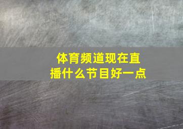 体育频道现在直播什么节目好一点