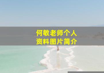 何敏老师个人资料图片简介