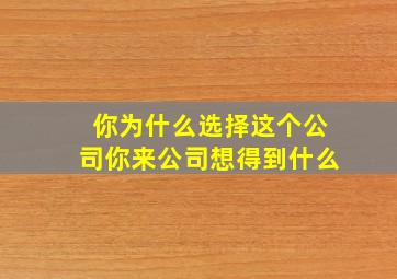 你为什么选择这个公司你来公司想得到什么