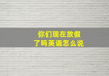 你们现在放假了吗英语怎么说