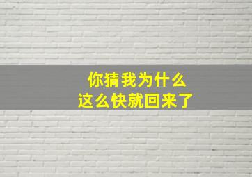 你猜我为什么这么快就回来了