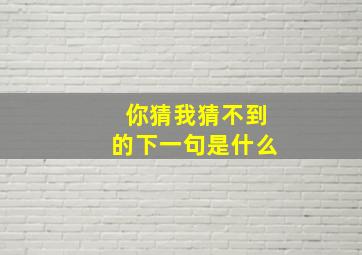 你猜我猜不到的下一句是什么