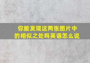 你能发现这两张图片中的相似之处吗英语怎么说