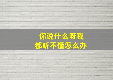 你说什么呀我都听不懂怎么办