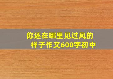 你还在哪里见过风的样子作文600字初中