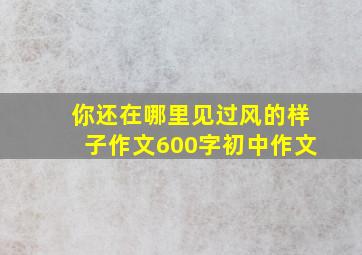 你还在哪里见过风的样子作文600字初中作文