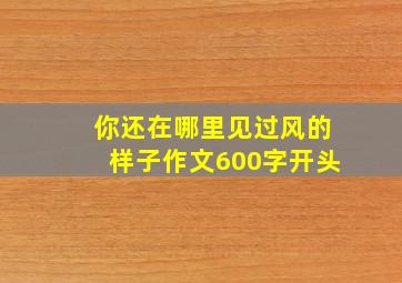 你还在哪里见过风的样子作文600字开头