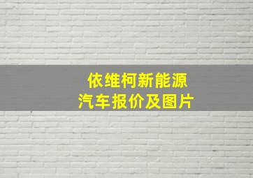 依维柯新能源汽车报价及图片