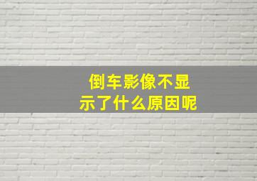 倒车影像不显示了什么原因呢