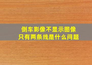 倒车影像不显示图像只有两条线是什么问题