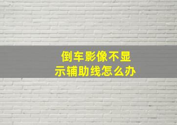 倒车影像不显示辅助线怎么办