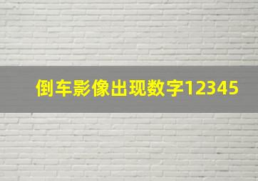 倒车影像出现数字12345