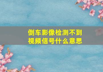 倒车影像检测不到视频信号什么意思