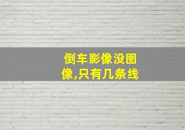 倒车影像没图像,只有几条线