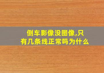 倒车影像没图像,只有几条线正常吗为什么