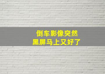 倒车影像突然黑屏马上又好了