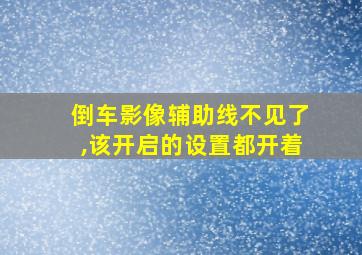 倒车影像辅助线不见了,该开启的设置都开着