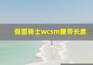 假面骑士wcsm腰带长度