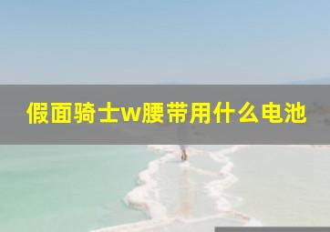 假面骑士w腰带用什么电池