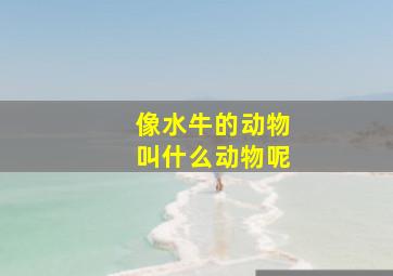 像水牛的动物叫什么动物呢