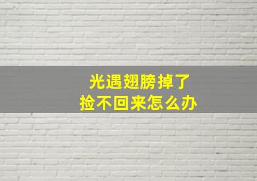 光遇翅膀掉了捡不回来怎么办