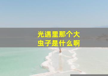 光遇里那个大虫子是什么啊