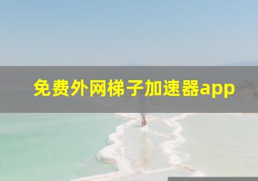 免费外网梯子加速器app