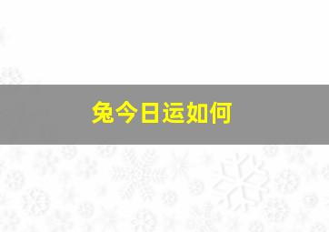 兔今日运如何