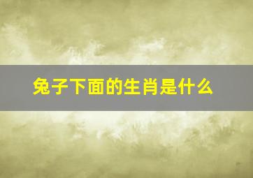 兔子下面的生肖是什么