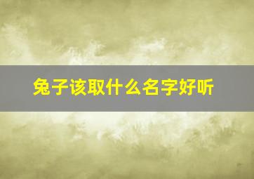 兔子该取什么名字好听