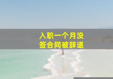 入职一个月没签合同被辞退