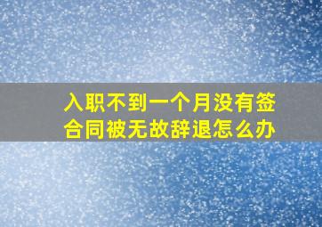 入职不到一个月没有签合同被无故辞退怎么办