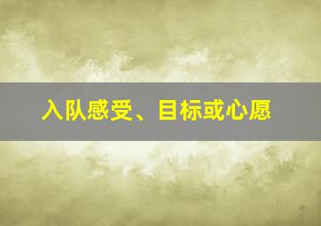 入队感受、目标或心愿