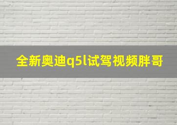 全新奥迪q5l试驾视频胖哥