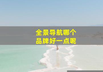 全景导航哪个品牌好一点呢