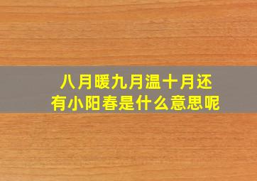 八月暖九月温十月还有小阳春是什么意思呢