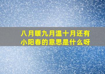 八月暖九月温十月还有小阳春的意思是什么呀