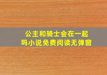 公主和骑士会在一起吗小说免费阅读无弹窗