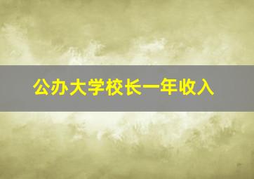 公办大学校长一年收入