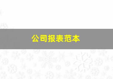 公司报表范本