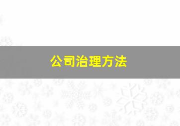 公司治理方法