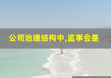 公司治理结构中,监事会是