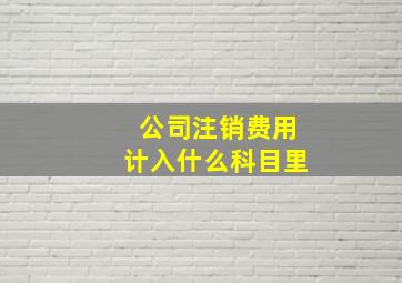 公司注销费用计入什么科目里