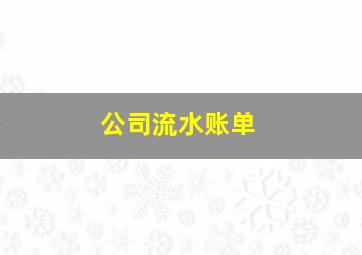 公司流水账单