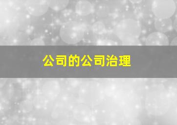 公司的公司治理